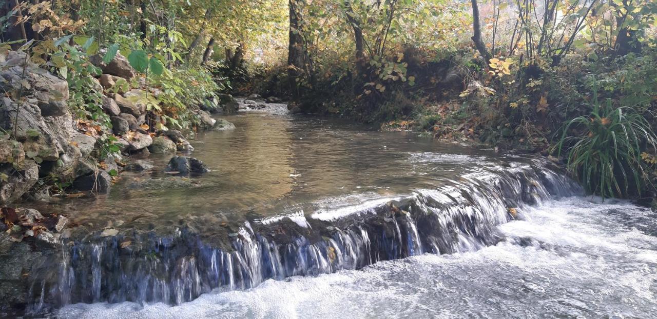 Live Nature Bihac Exterior photo