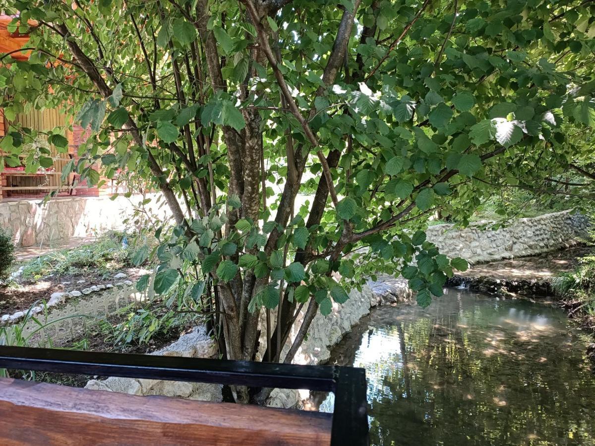 Live Nature Bihac Exterior photo