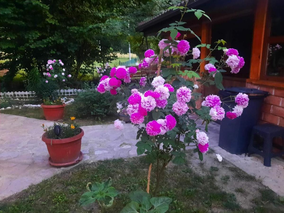 Live Nature Bihac Exterior photo